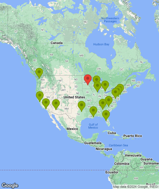 Minnesota Vikings_league.png